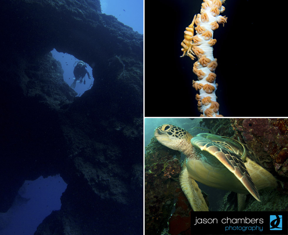 Cathedral-Cave-Pescador-Island
