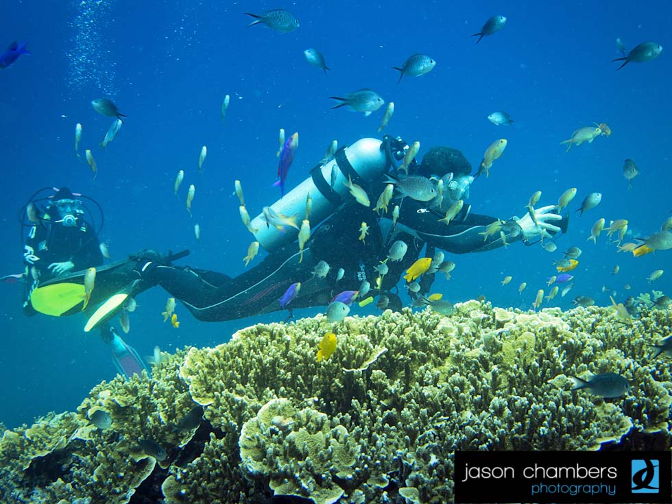 Safety-Stop-Coral-Gardens