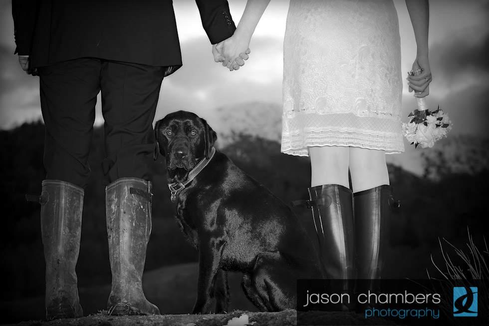 Bride-Groom-Dog-Photographs 0009