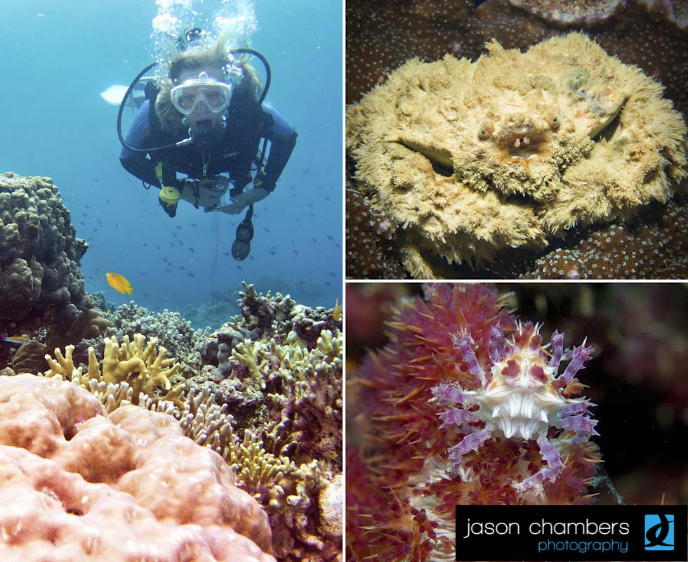 philippines diving