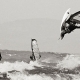 Windsurfing in Cumbria