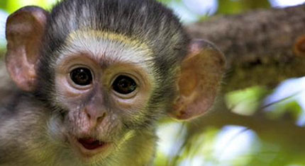 Kruger Park