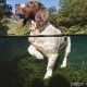 Lake District Portrait Underwater