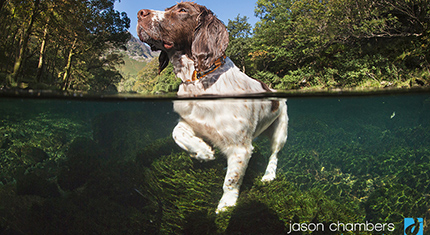 Lake District Portrait Underwater