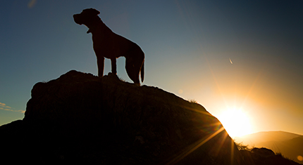 Sunrise-photographs-keswick