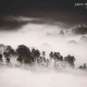 Thirlmere