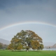 Rainbow wedding photographs for Sam and Liam