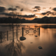 Derwentwater Sunset Photograph